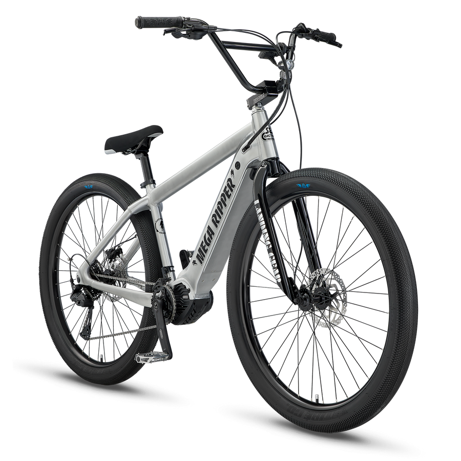 Ball Burnished Silver SE Mega Ripper 29" bicycle