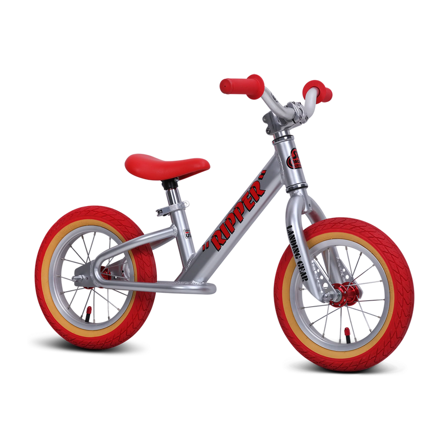 Silver Streak SE Micro Ripper 12" bicycle